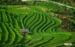 自体脂肪填充到底怎么样 自体脂肪注射增粗术多少钱