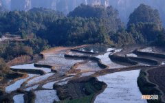 高血压的人喝什么茶最好 男人喝普洱茶壮阳吗