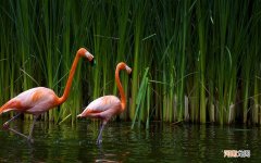 孩子总是感冒咳嗽 一直咳嗽是感冒吗