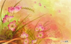 正品六味地黄丸的价格是多少 性功能障碍吃六味地黄丸