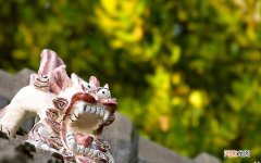 热冒吃什么食物 苦瓜功效对风热感冒有作用吗