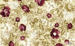 怀孕六个多月能吗 女上位坚持不了几下就累了