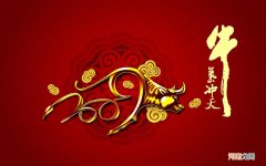 适合糖尿病高血压高血脂患者喝的饮品有哪些 代茶饮的降血脂草药