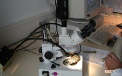 高情商喝酒幽默口才 幽默笑话段子高情商