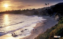 长期喝蜂蜜水好吗 女人喝蜂蜜水的好处