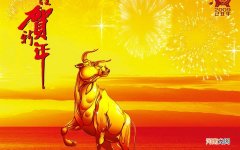 伤口上的肉多久能长平 精索静脉曲张手术伤疤