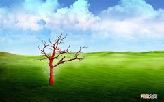 怎样提高胰岛素的分泌 吃什么可以分泌胰岛素