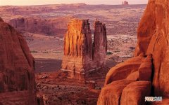 蜂蜜水真的能解酒吗 枇杷蜂蜜可以解酒吗