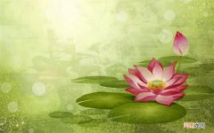 诺和锐有片剂么 口服胰岛素胶囊什么时候上市