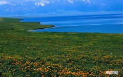 请问脸部长疙瘩是怎么回事儿 脸上t字区长像痱子的痘