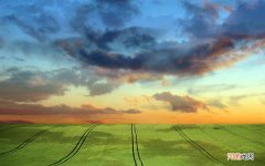 生完孩子多久可以吃凉水果 便秘能不能吃樱桃