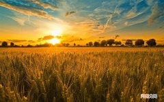 成都学美容学费一般多少 成都轻医美皮肤管理培训学校