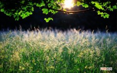 断奶后胸部变小怎么办 断奶后怎么让胸变丰满