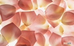 甘油三酯高吃什么药好 治甘油三酯最好的药是什么