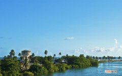 天气热能吃桃子吗 发烧可以吃桃子吗