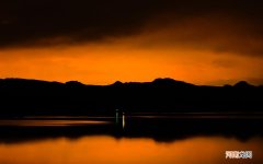 网传鸡蛋内含有大量胆固醇 鸡蛋胆固醇高吗