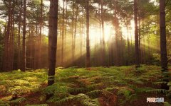 河南省干细胞库是干啥的 国家批准的干细胞医院