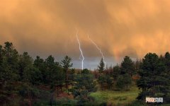 喝什么最快能解酒呢 醒酒喝什么