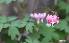 请推荐行之有效的提高男性性功能的实用方法 如何提高性功能的方法有哪些方