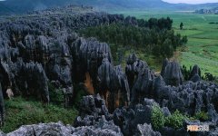 总胆固醇576高不高 人体胆固醇检测方法