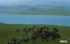 为什么有医生给八个月的小孩开方子让舔蜂蜜 蜂蜜小孩几岁才可以吃