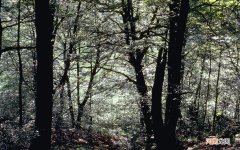 高保湿补水的护肤品 补水控油护肤品哪个牌子好