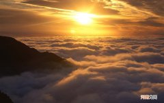 晚安的情话最暖心短句 情人之间肉麻的夜晚情话