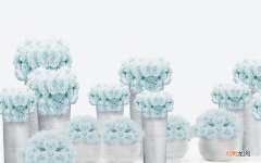 50岁便宜好用的眼霜 去黑眼圈眼霜大牌