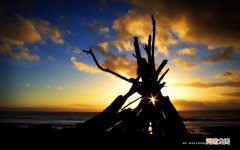 植物神经功能紊乱的主要表现症状有哪些 植物神经紊乱主要表现