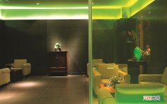 螺蛳粉放枸杞叶煮可以吗 枸杞叶的相克