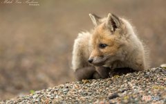 骨头如何练硬? 快速硬起来的小妙招