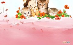 新乡有什么美食推荐 长垣适合两个人吃饭的地方