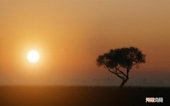 熟地黄有什么功效与作用及禁忌 熟地黄怎么吃