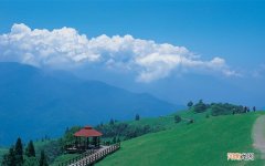 醉酒后吃什么食物最解酒 喝醉酒了吃什么比较好