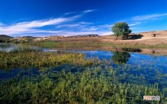 喝酒多后口吐黄水是怎么回事 喝完酒吐黄水怎么止住