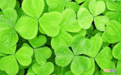 博鳌乐城医院看病贵吗 博鳌一龄是正规医院吗