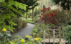 有糖尿病脚底会疼是什么原因 糖尿病人脚掌疼怎么回事