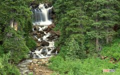 肾虚的话平时吃点什么好 肾亏吃啥补