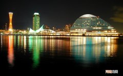 牛蒡是什么 牛蒡的作用功效和禁忌