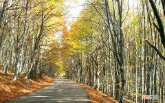 胃火重有哪些表现 胃热炽盛表现为