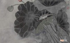 三文鱼块做法 三文鱼和红枣可以一起吃吗