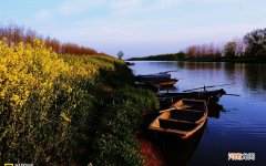 大家推荐下有什么食物护肝或者有什么配方可以减少肝的伤害 吃什么保肝护肝