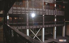 孩子感冒咳嗽应该忌吃什么 宝宝感冒咳嗽能吃鱼吗