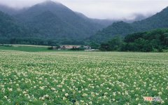 秋天最适合吃哪些蔬菜 秋天吃什么菜比较养生