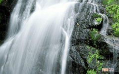 加味逍遥丸服用多了好吗 40岁女人常吃逍遥丸