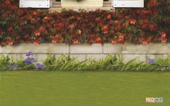 鱼腮帮子肉能吃吗 三文鱼的鱼鳃可以吃吗