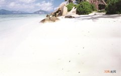 骆驼奶粉适合哪些人群饮用 长痘可以喝骆驼奶吗