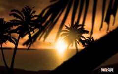 跑步膝盖酸疼 跑步膝盖疼的恢复方法