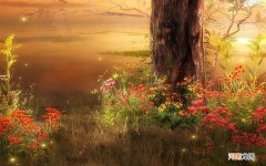 眼袋位置上有脂肪粒应该怎么办 激光去眼袋脂肪粒多少钱