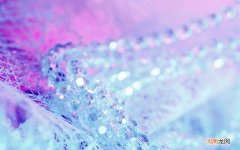 癌症病人食谱有哪些 卧床老人营养餐食谱